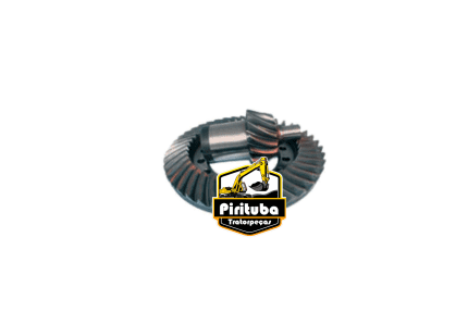 79001013 coroa e pinhao