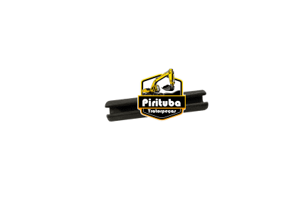 950879 Pino   318D2