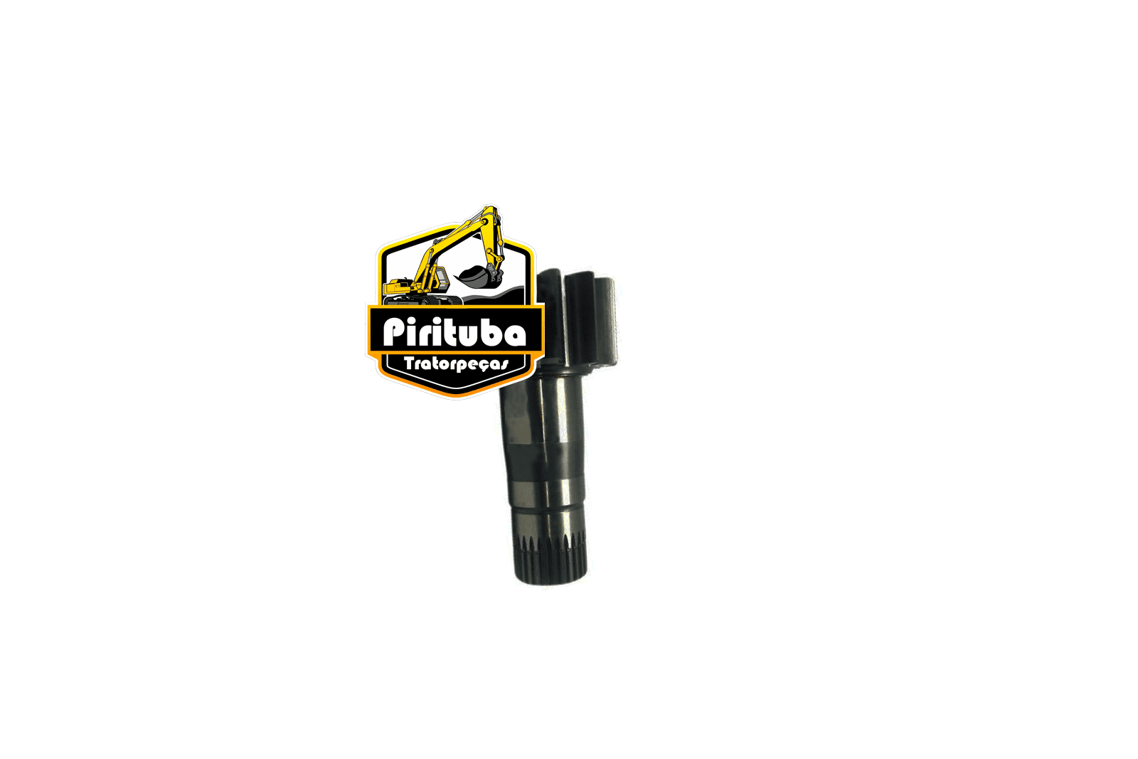 FR220166 FR220166 Pinhao do Giro FOTON FR220