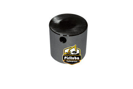 1695601 Pino   320