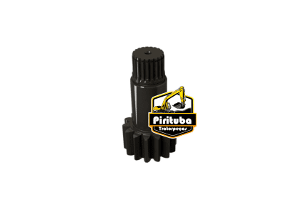 6257495 - Pinhao -   320GC