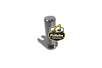 11020022 Pino