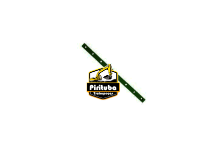 CH786462 Placa de Desgaste Volvo