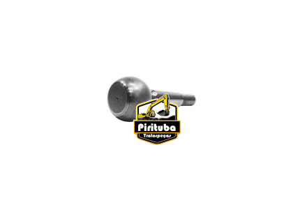 73125531 Pino Bola
