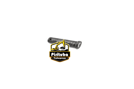 73160978 Pino
