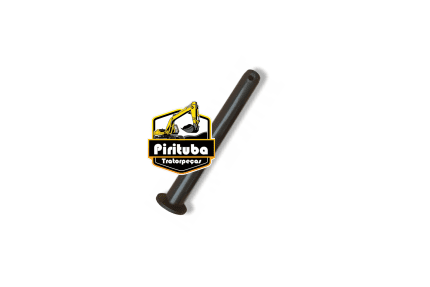 85803005 Pino
